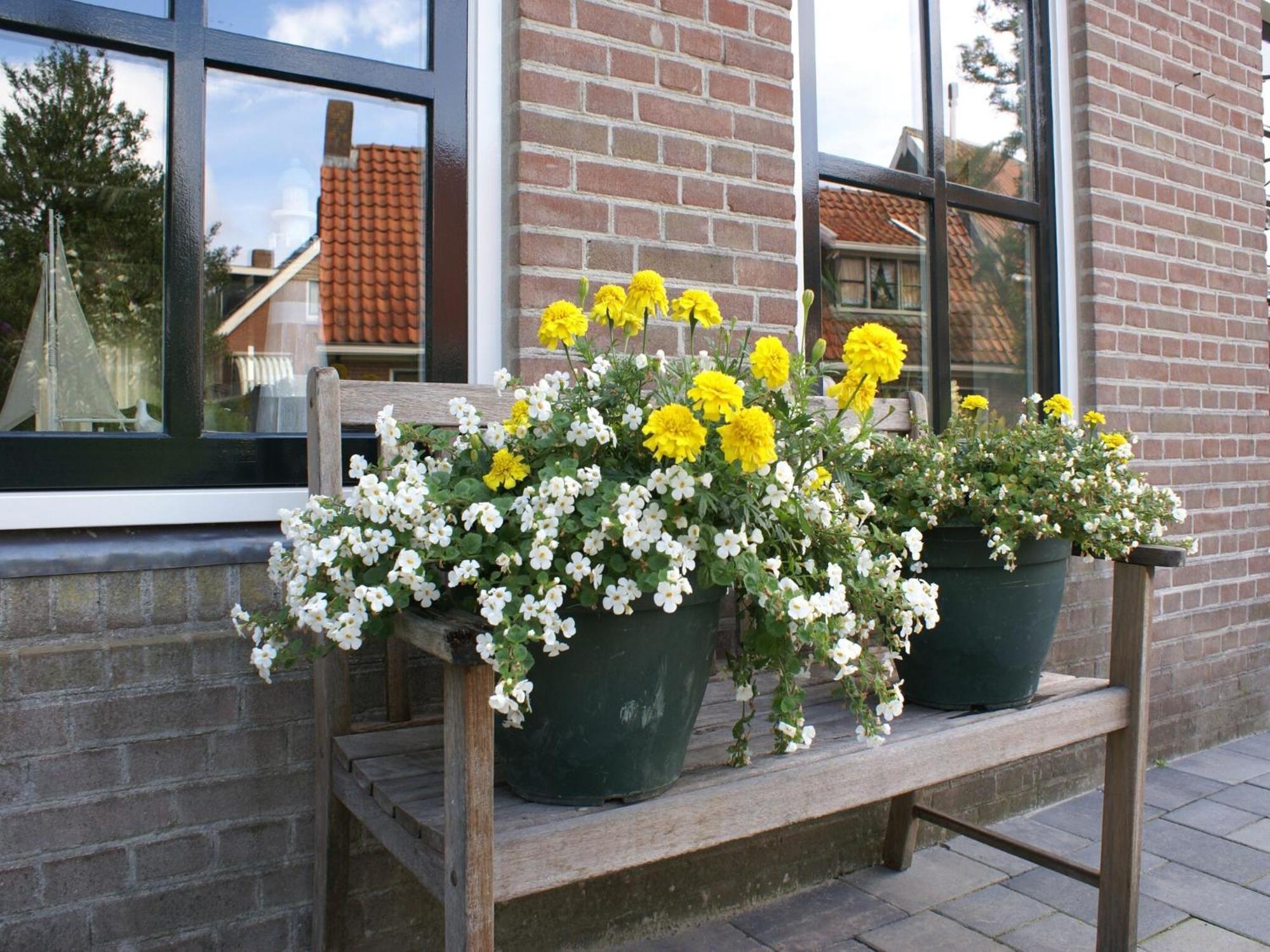 Fantastic Luxury Vacation Home And Next To The Wadden Sea Paesens Exterior foto