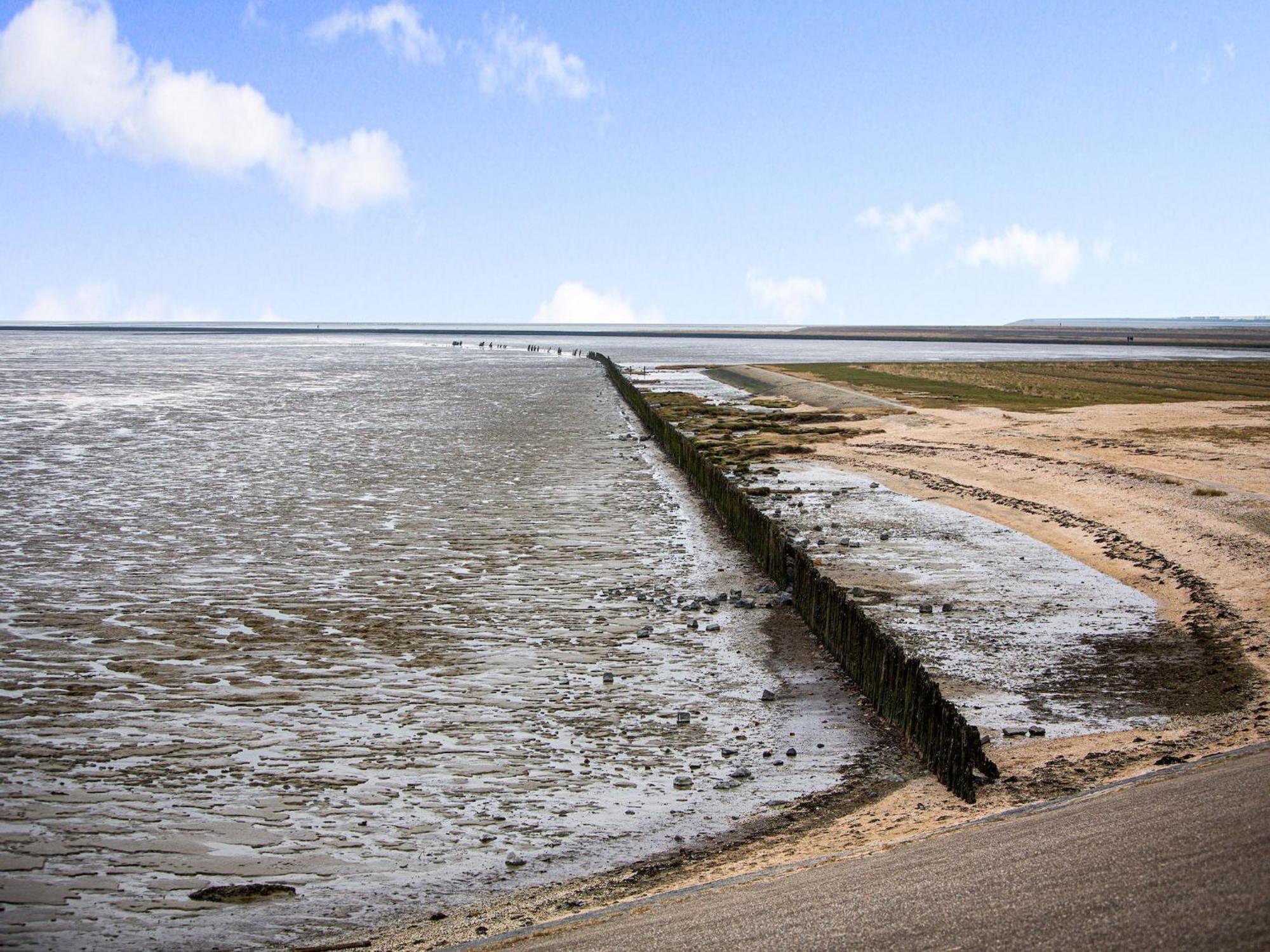 Fantastic Luxury Vacation Home And Next To The Wadden Sea Paesens Exterior foto