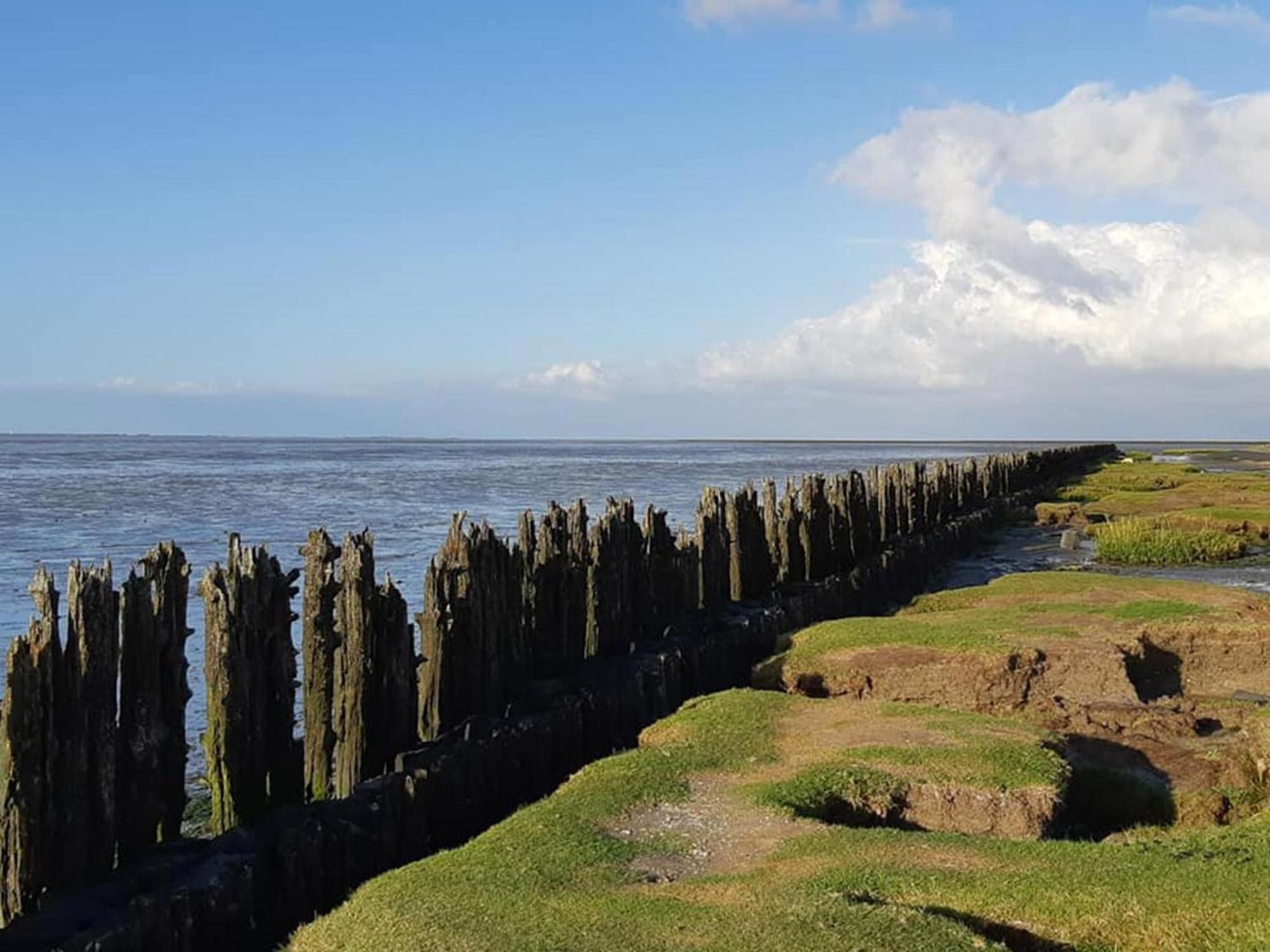 Fantastic Luxury Vacation Home And Next To The Wadden Sea Paesens Exterior foto